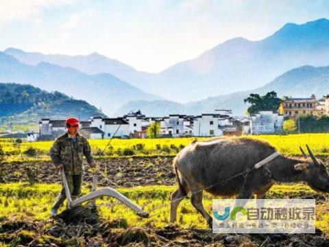 胶南网：深耕胶南，连接你我，资讯、服务、互动，一网打尽胶南发展脉搏