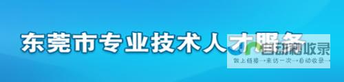 东莞公司专业网站建设:提升企业形象,拓展市场机遇