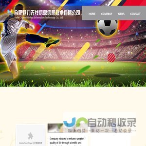 合肥魅力无线信息技术有限公司